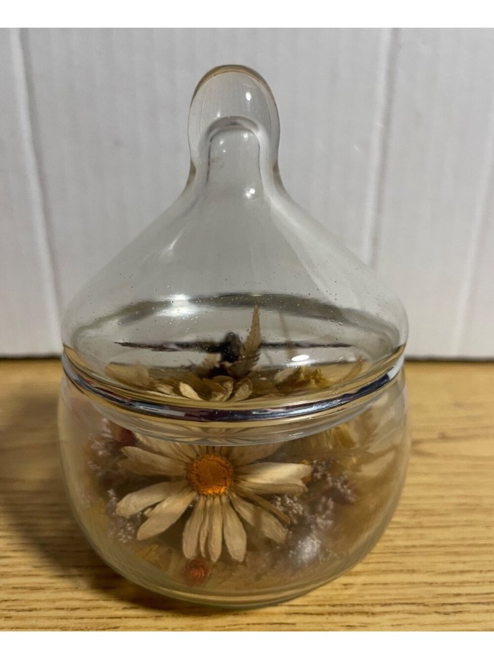 Dried Flower Butterfly Keepsake Glass Dome Display Rustic Decor Gardues Original